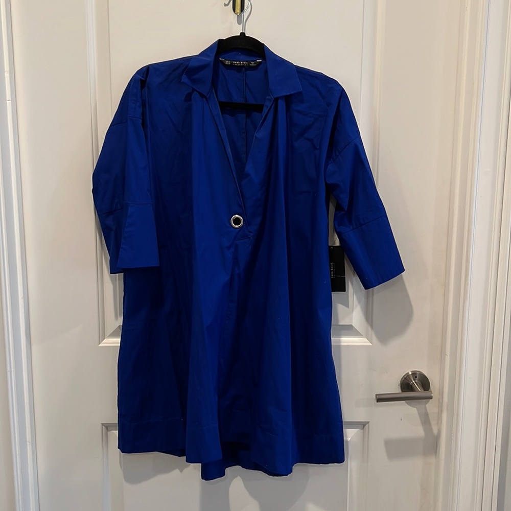 Zara Blue Shift Dress